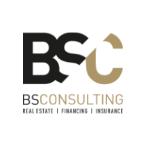 BS Consulting